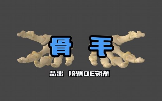 手 骨